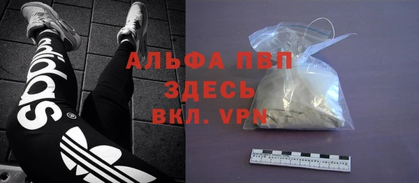 сатива Мегион