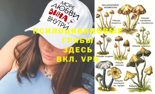 spice Апатиты