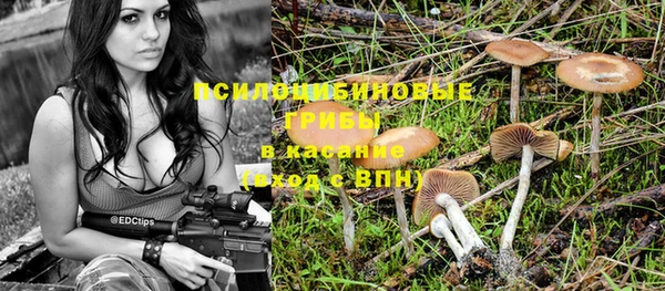 сатива Мегион
