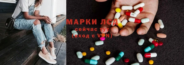 сатива Мегион