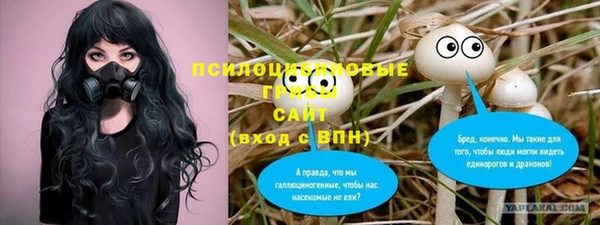 MDMA Медвежьегорск