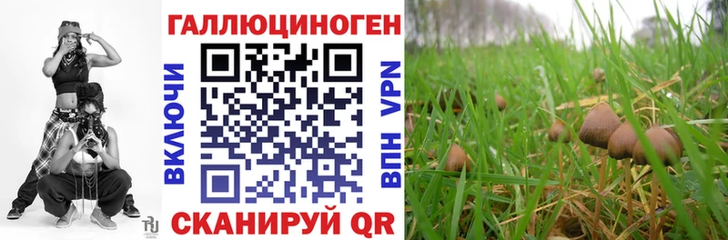 Псилоцибиновые грибы мухоморы  как найти наркотики  Люберцы 